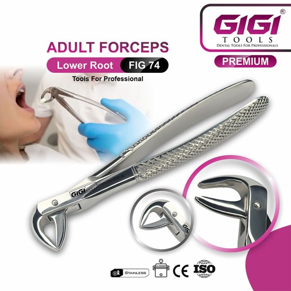 Adult Extraction Forceps Fig. 74 Lower Roots & Incisors