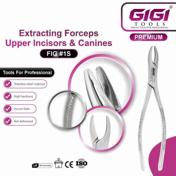 Dental Extracting Forceps Fig. 1S for Upper Incisors and Canines