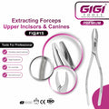 Dental Extracting Forceps Fig. 1S for Upper Incisors and Canines