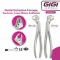 Adult Lower Root Extraction Forceps English Pattern Fig. 33A