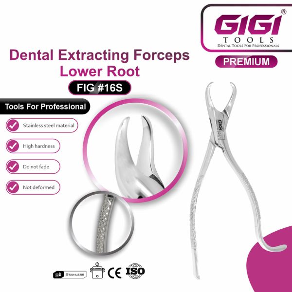 Dental Extracting Forceps Fig. 16S for Lower Roots