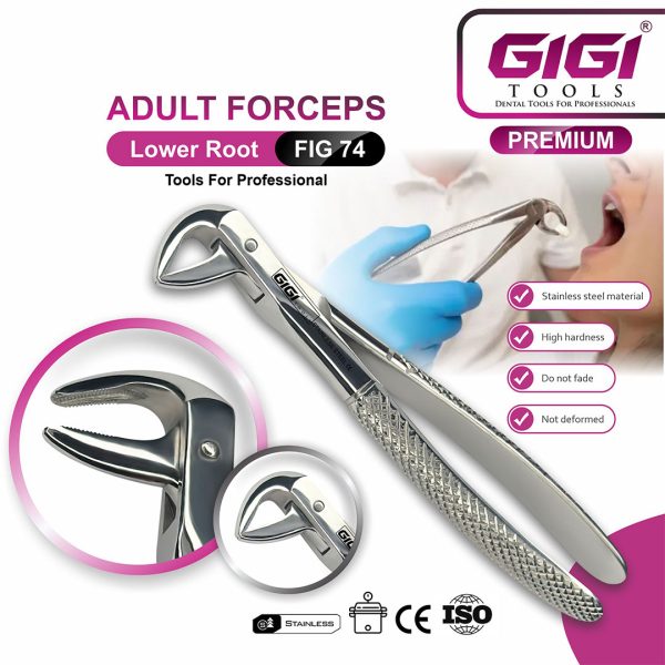 Adult Extraction Forceps Fig. 74 Lower Roots & Incisors