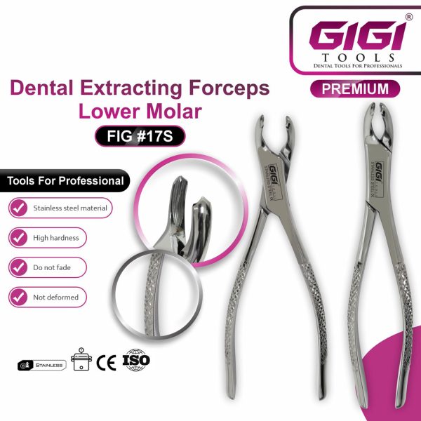 Dental Extracting Forceps Fig. 17S for Lower Molars