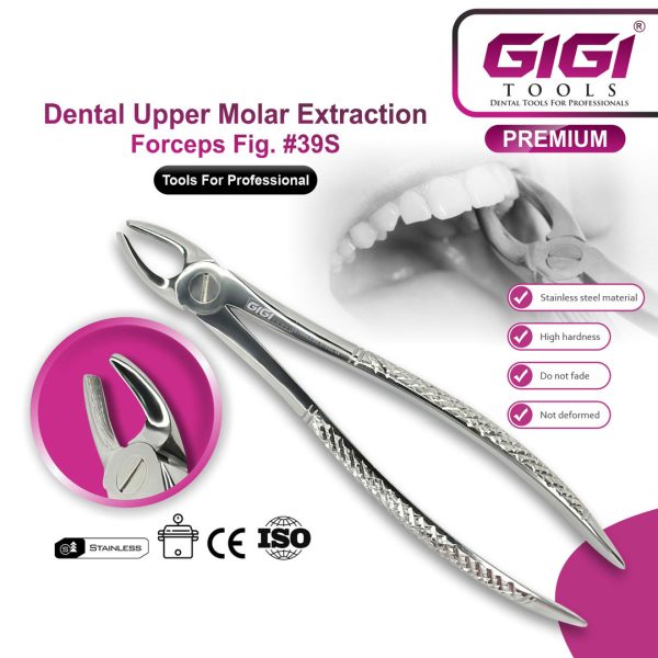 Dental Extraction Forceps English Pattern - Complete 10-Piece Set