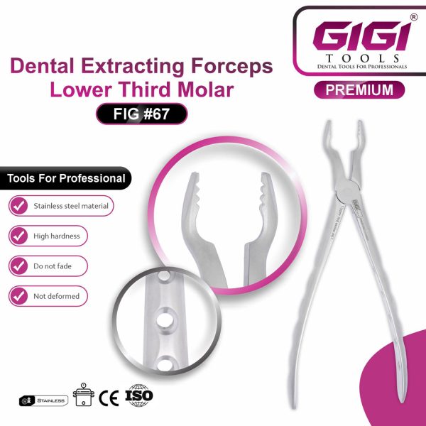 Dental Extracting Forceps Fig. 67 (Bayonet Pattern) for Upper Third Molars