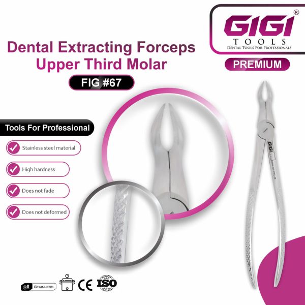 Dental Extracting Forceps Fig. 67 for Upper Third Molars