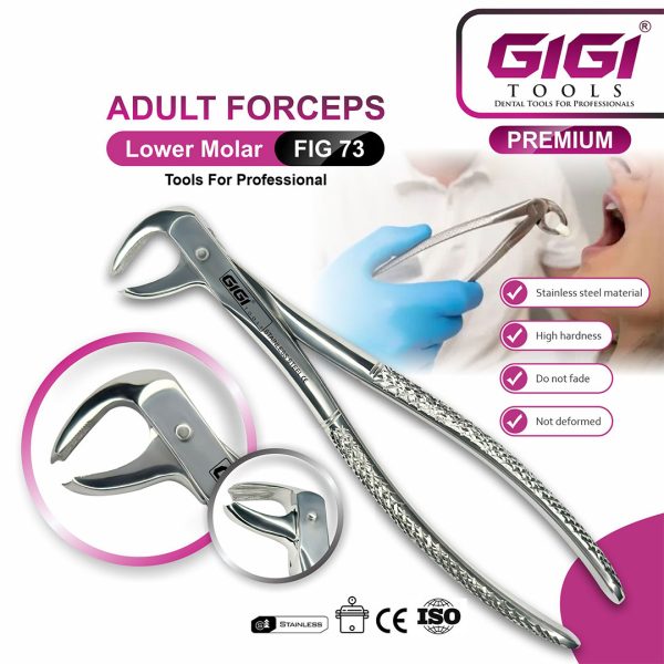 Adult Extraction Forceps Fig. 73 Lower Molars