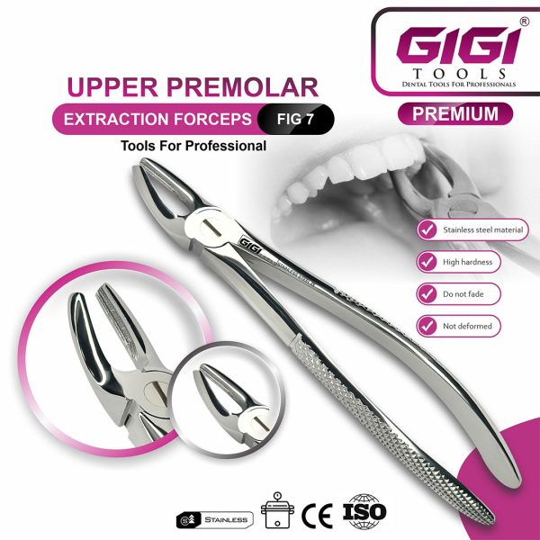 Adult Extraction Forceps Complete 10-Piece Master Set