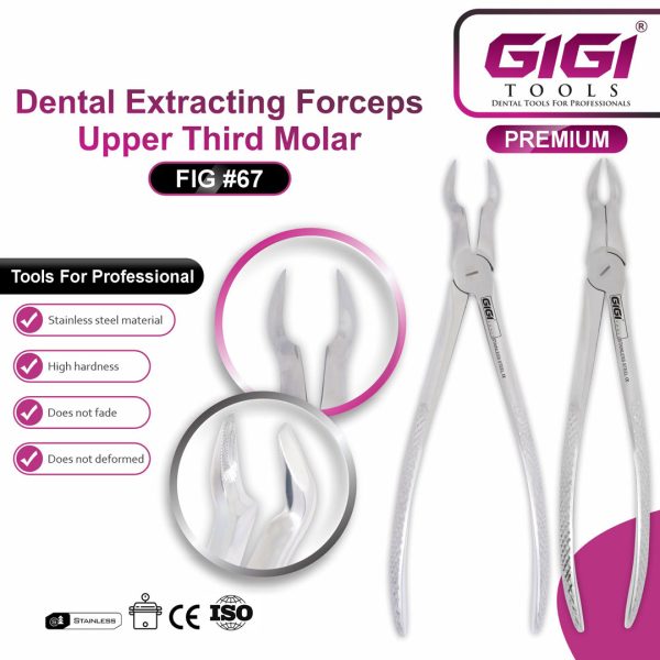 Dental Extracting Forceps Fig. 67 for Upper Third Molars