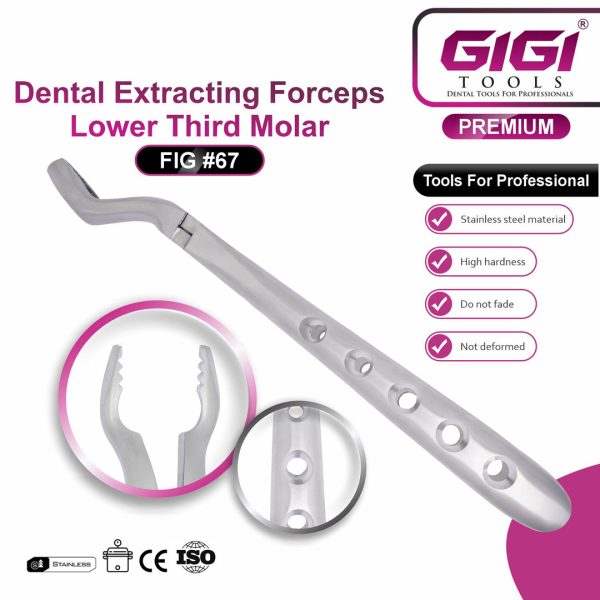 Dental Extracting Forceps Fig. 67 (Bayonet Pattern) for Upper Third Molars
