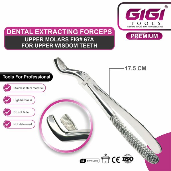 Adult Extraction Forceps Fig. 67A Upper Wisdom Teeth / Third Molars