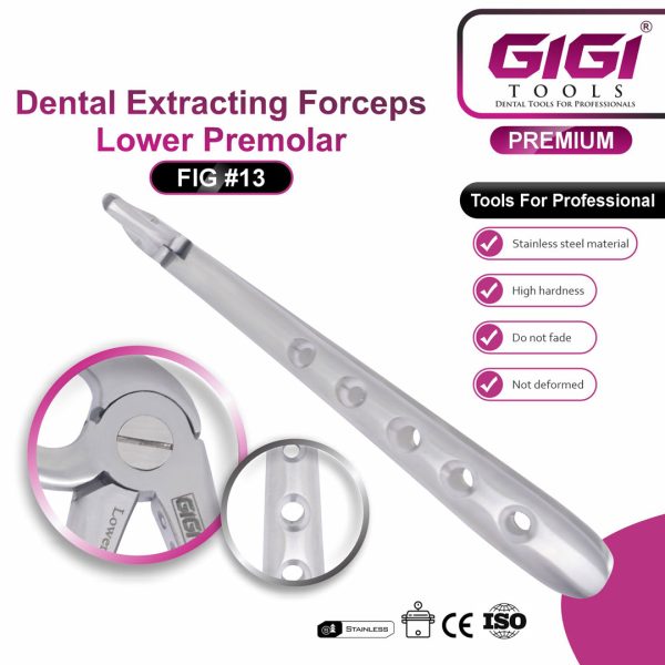 Dental Extracting Forceps Fig. #13 (Lower Premolar)