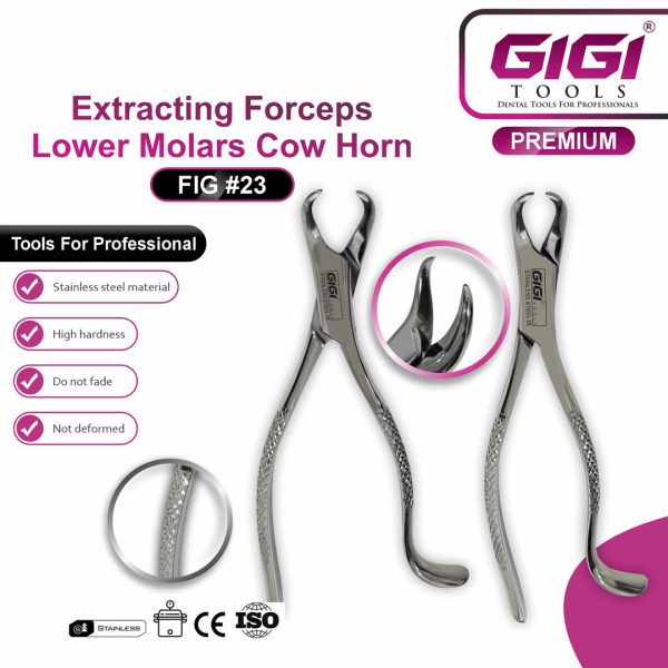 Dental Extracting Forceps Fig. 23 Cow Horn for Lower Molars