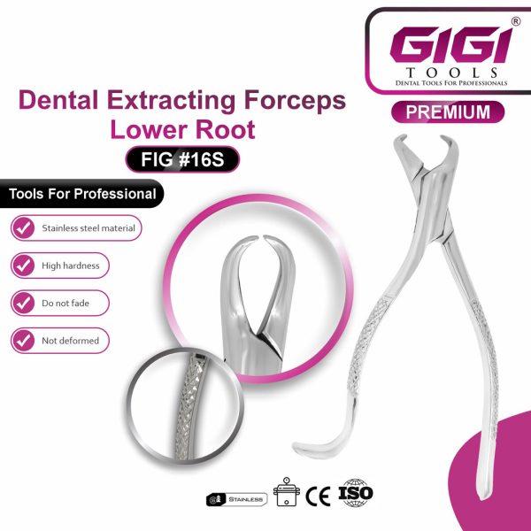 Dental Extracting Forceps Fig. 16S for Lower Roots