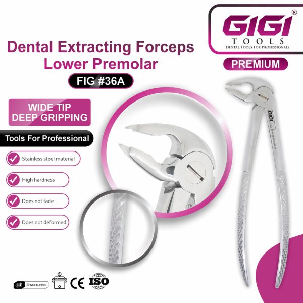 Dental Extracting Forceps Lower Premolar (Fig #36 & Fig #36A)