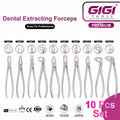 Dental Extracting Forceps 10-Piece Professional Surgical Set