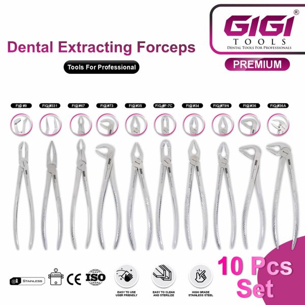 Dental Extracting Forceps 10-Piece Professional Surgical Set