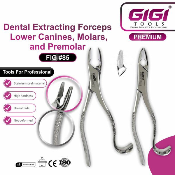 Dental Extracting Forceps Fig. 85 for Lower Canines, Premolars, and Molars