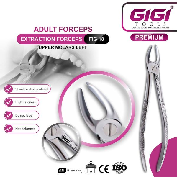 Adult Extraction Forceps Fig. 18 Upper Molars - Right