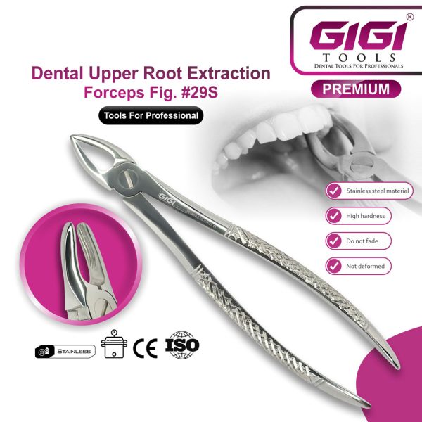 Dental Extraction Forceps English Pattern - Complete 10-Piece Set