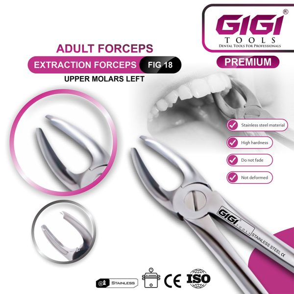 Adult Extraction Forceps Fig. 18 Upper Molars - Right