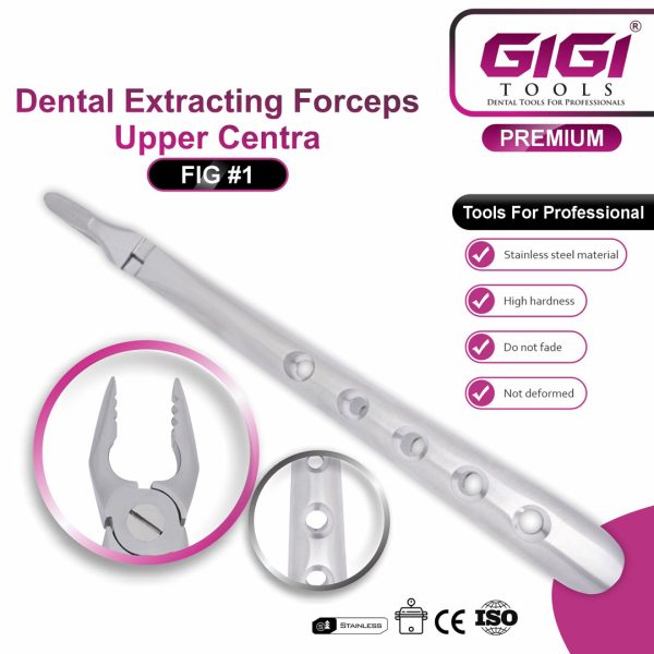 Dental Extracting Forceps Fig. #1 (Upper Centrals & Cuspids)