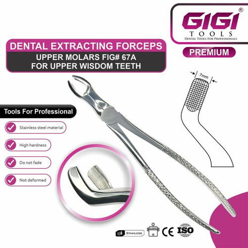 Adult Extraction Forceps Fig. 67A Upper Wisdom Teeth / Third Molars