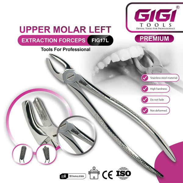 Adult Extraction Forceps Complete 10-Piece Master Set