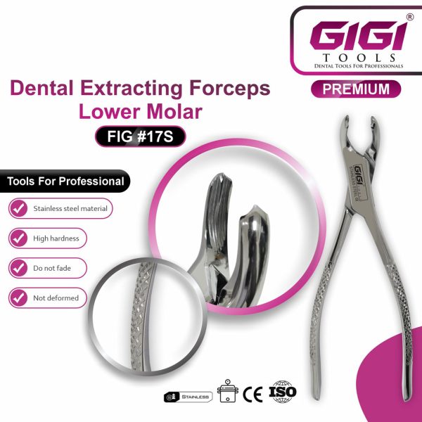 Dental Extracting Forceps Fig. 17S for Lower Molars