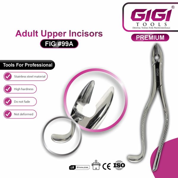 Dental Extracting Forceps Fig. 99A Kells for Adult Upper Incisors