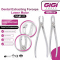 Dental Extracting Forceps Lower Molar (#F-7C)