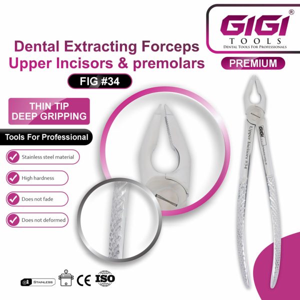 Dental Extracting Forceps Upper Incisors & Premolars (Fig #34)
