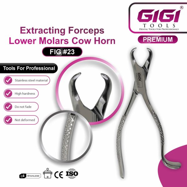 Dental Extracting Forceps Fig. 23 Cow Horn for Lower Molars