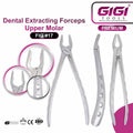 Dental Extracting Forceps Fig. #17 (Upper Molar)