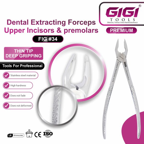 Dental Extracting Forceps Upper Incisors & Premolars (Fig #34)