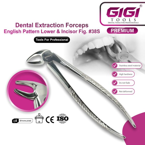 Dental Extraction Forceps English Pattern - Complete 10-Piece Set