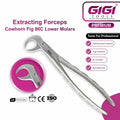 Adult Lower Cowhorn Extraction Forceps Fig. 86C