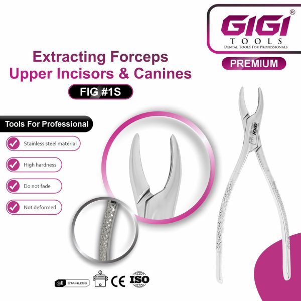 Dental Extracting Forceps Fig. 1S for Upper Incisors and Canines