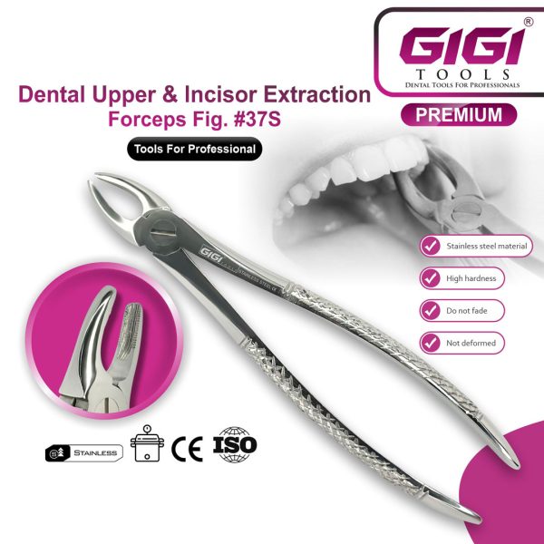 Dental Extraction Forceps English Pattern - Complete 10-Piece Set