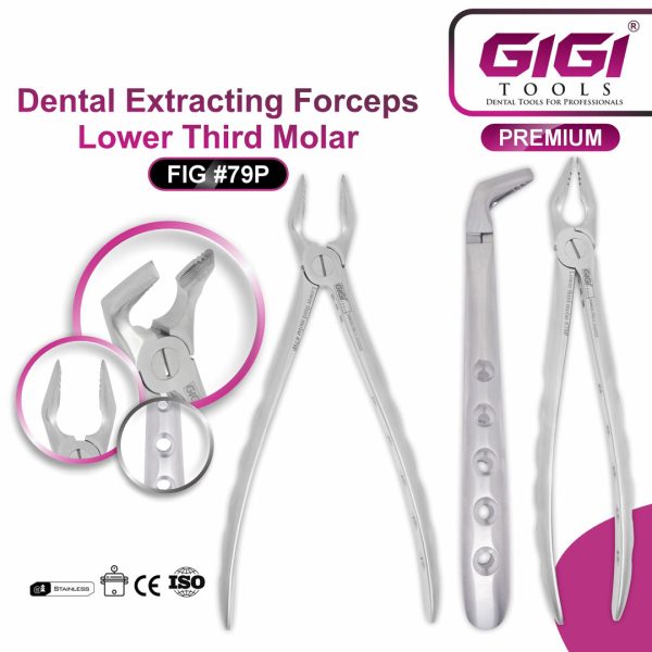 Dental Extracting Forceps Fig. #79P (Lower Third Molar)
