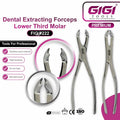 Dental Extracting Forceps Fig. 222 for Lower Third Molars