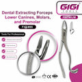 Dental Extracting Forceps Fig. 85 for Lower Canines, Premolars, and Molars
