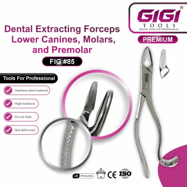 Dental Extracting Forceps Fig. 85 for Lower Canines, Premolars, and Molars