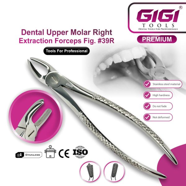Dental Extraction Forceps English Pattern - Complete 10-Piece Set