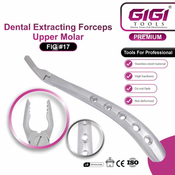Dental Extracting Forceps Fig. #17 (Upper Molar)