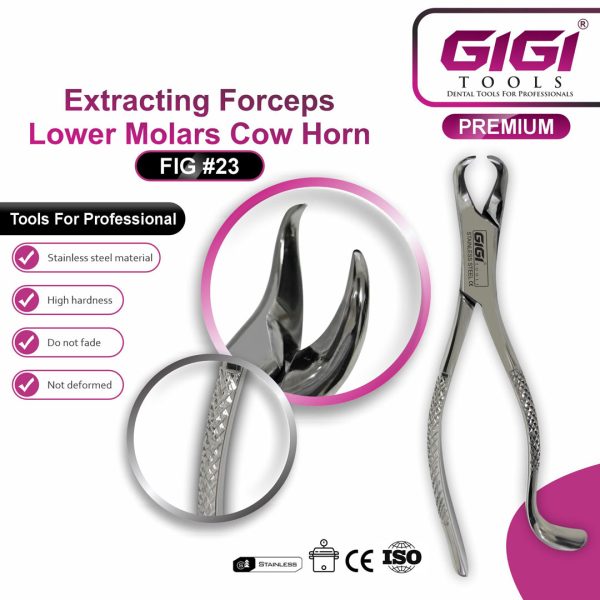 Dental Extracting Forceps Fig. 23 Cow Horn for Lower Molars