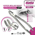 Adult Extraction Forceps Fig. 18R Upper Molars - Right