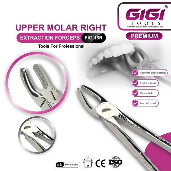 Adult Extraction Forceps Fig. 18R Upper Molars - Right
