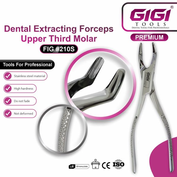 Dental Extracting Forceps Fig. 210S for Upper Third Molars
