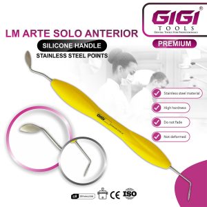 LM Arte Solo Anterior